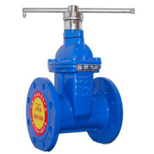 CI Gate Valve 3 Inch